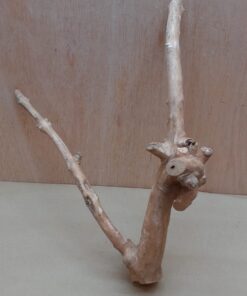 Java Wood - Double Stem - Medium 18
