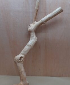 Java Wood - Double Stem - XL 19