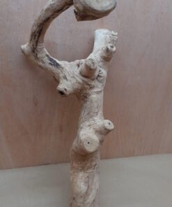 Java Wood - Double Stem - XL 15
