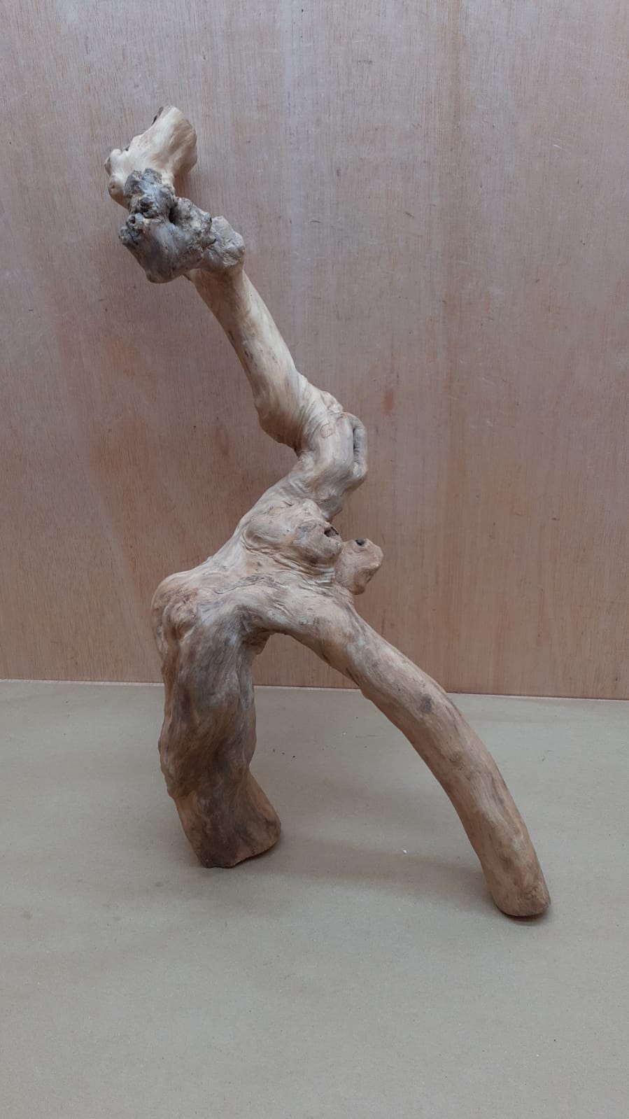 Java Wood - Double Stem - XL 20