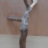 Java Wood - Double Stem - Large 13