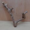 Java Wood - Double Stem - Medium 19