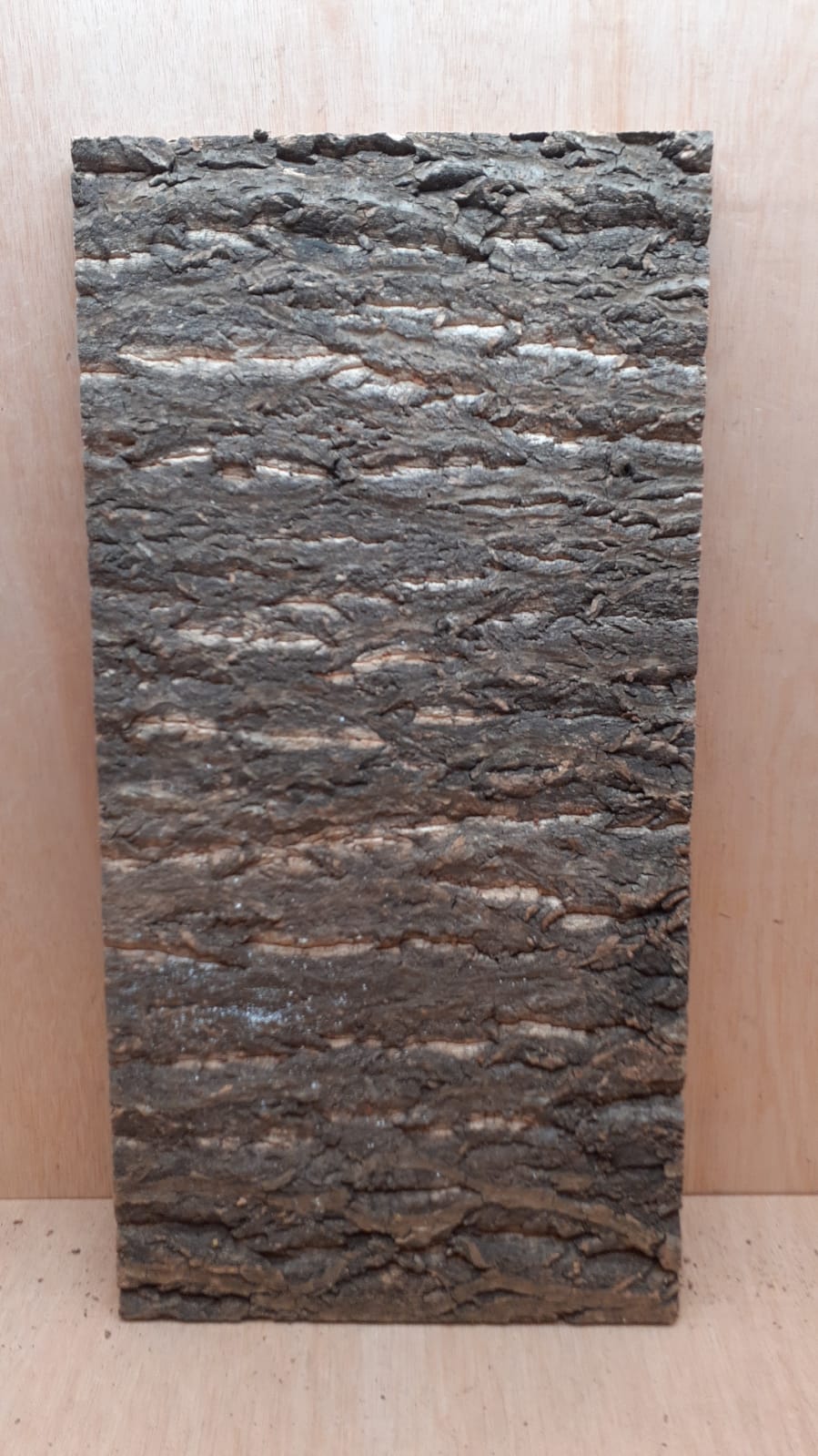 Cork Bark Background Panel 30x60cm - 16