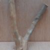 Java Wood - Double Stem - Small 20