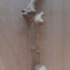 Java Wood - Single Stem - Medium 16