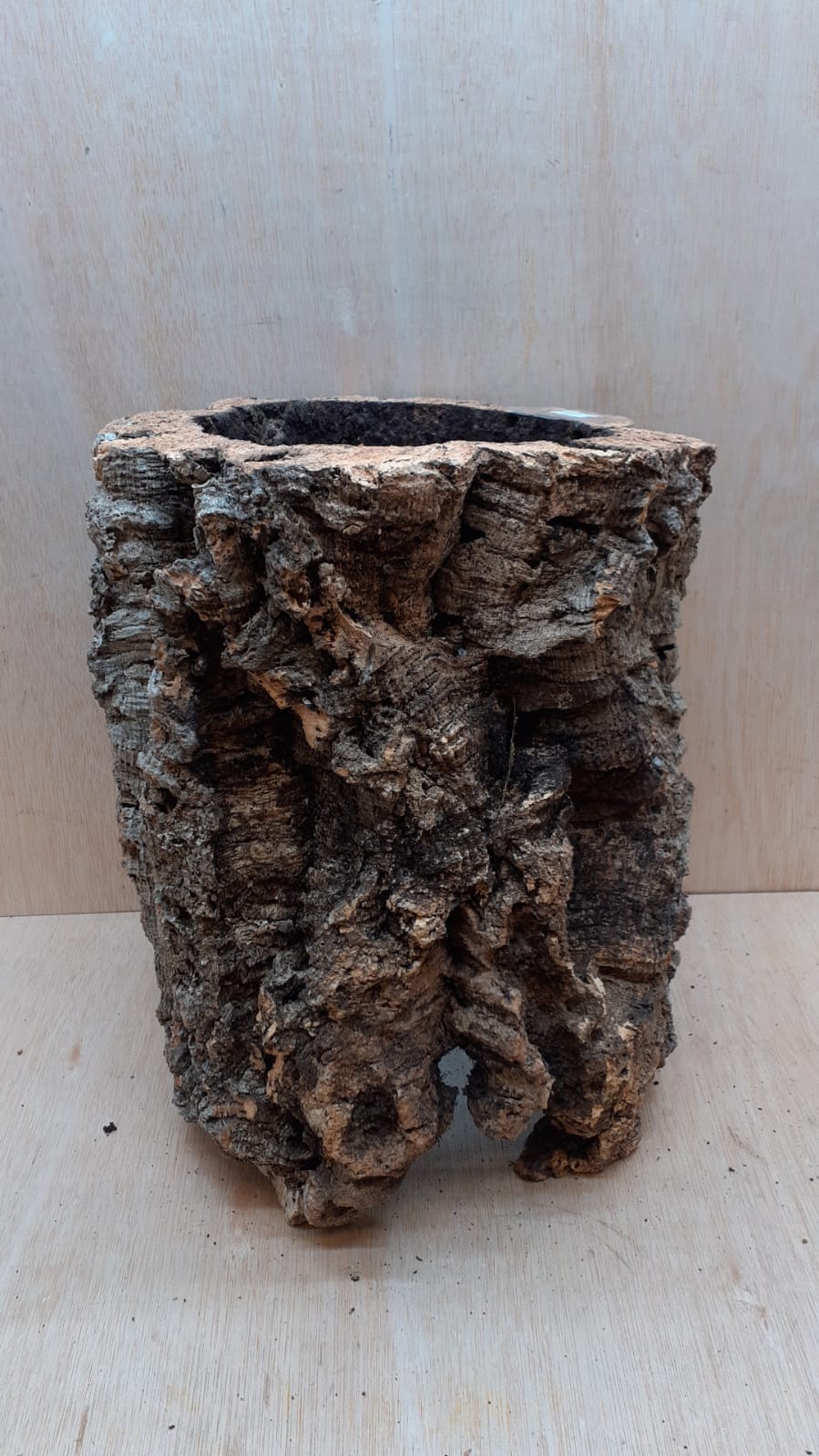Large Cork Tube - 40-60cm - 14