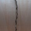Curved Liana - Long - 15