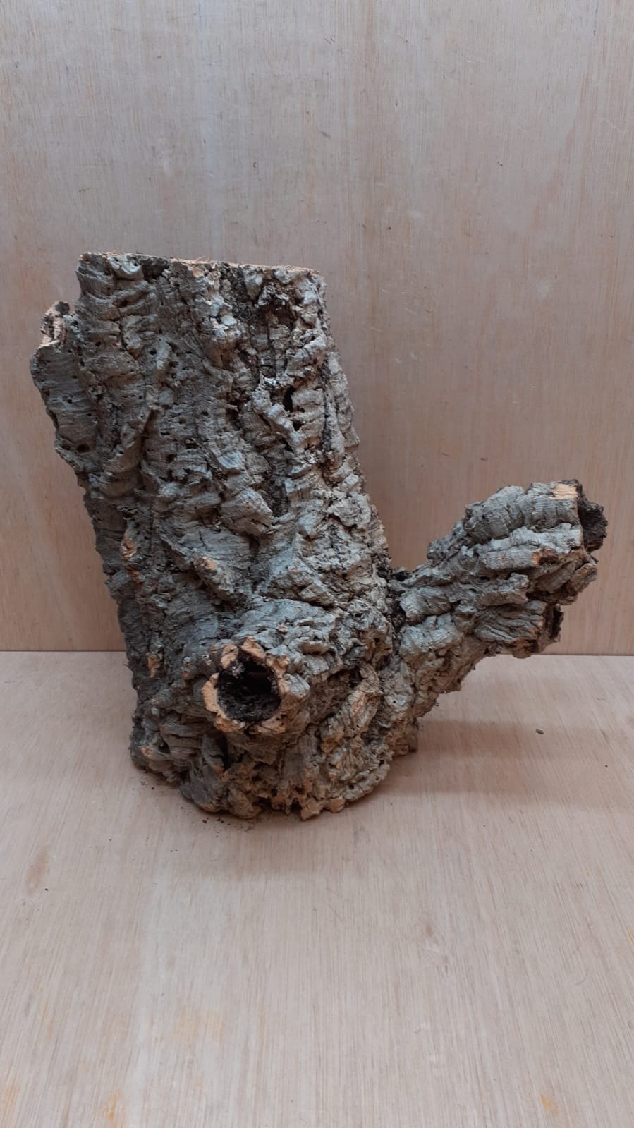 Large Cork Tube - Upto 40cm - 13