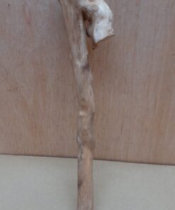 Java Wood - Single Stem - Small 14