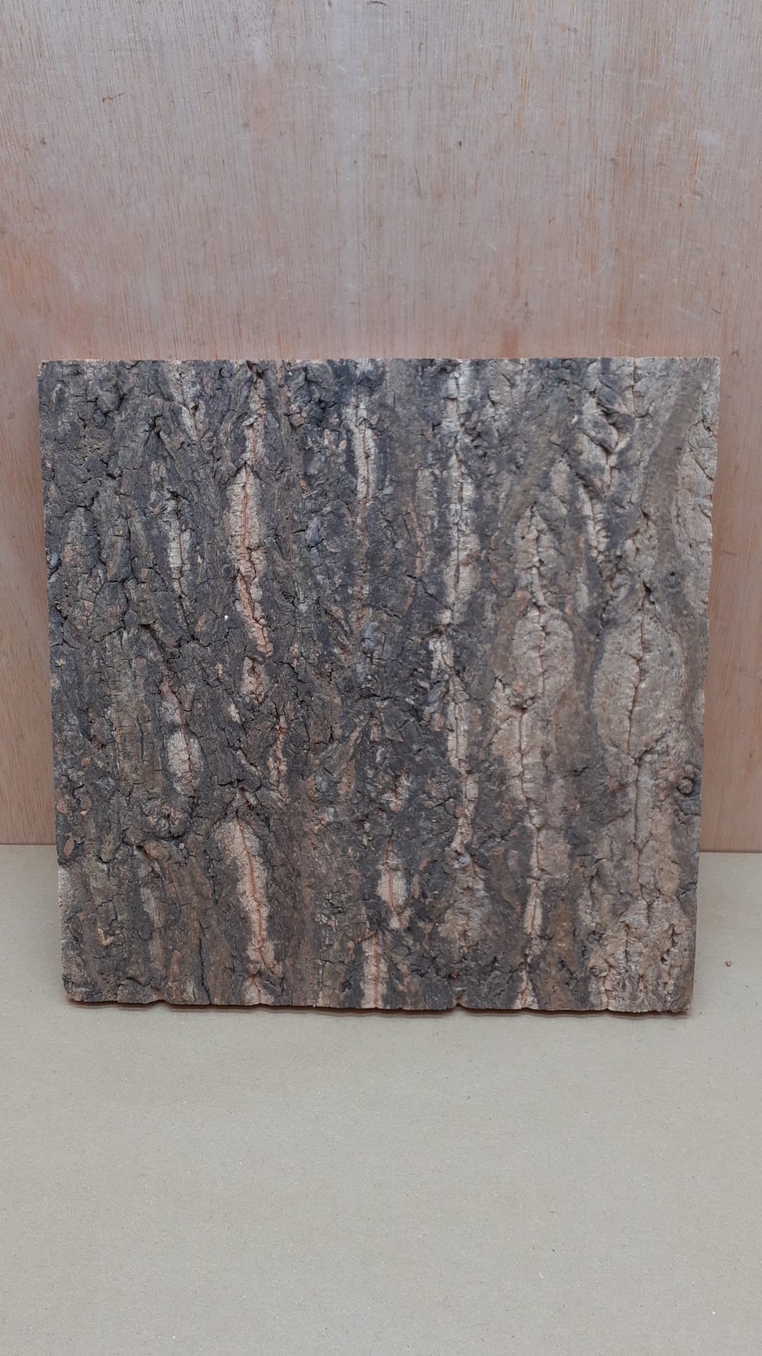 Cork Bark Background Panel 30x30cm - 11
