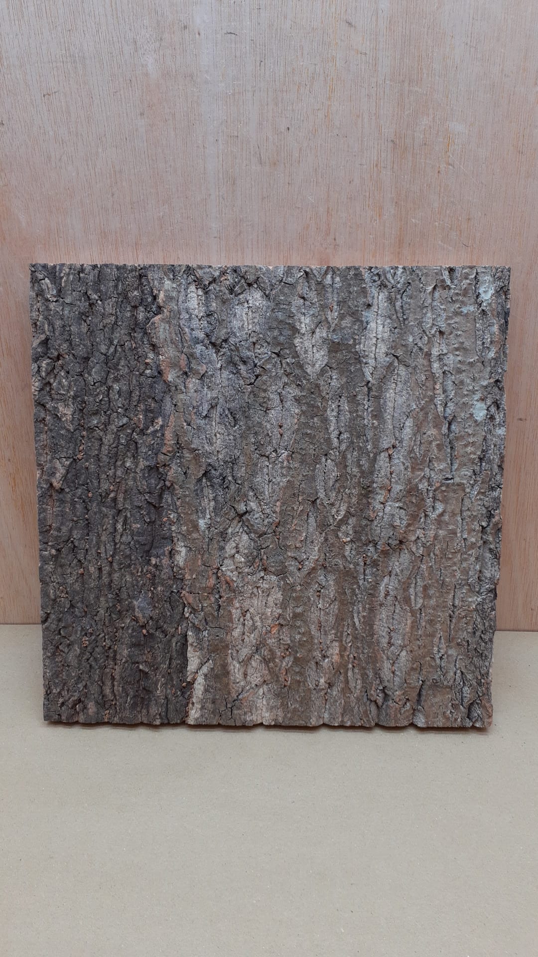 Cork Bark Background Panel 30x30cm - 12