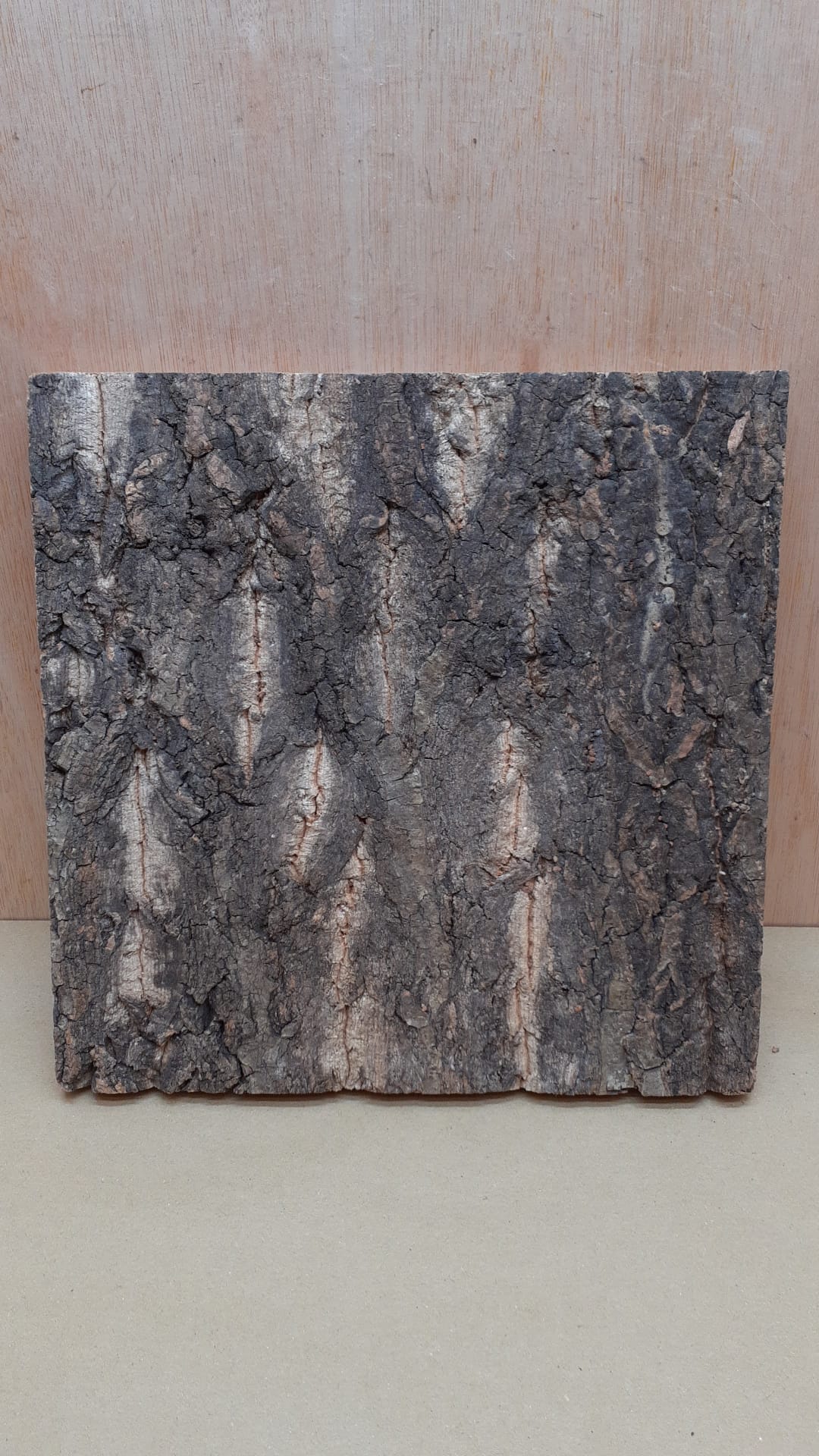 Cork Bark Background Panel 30x30cm - 13