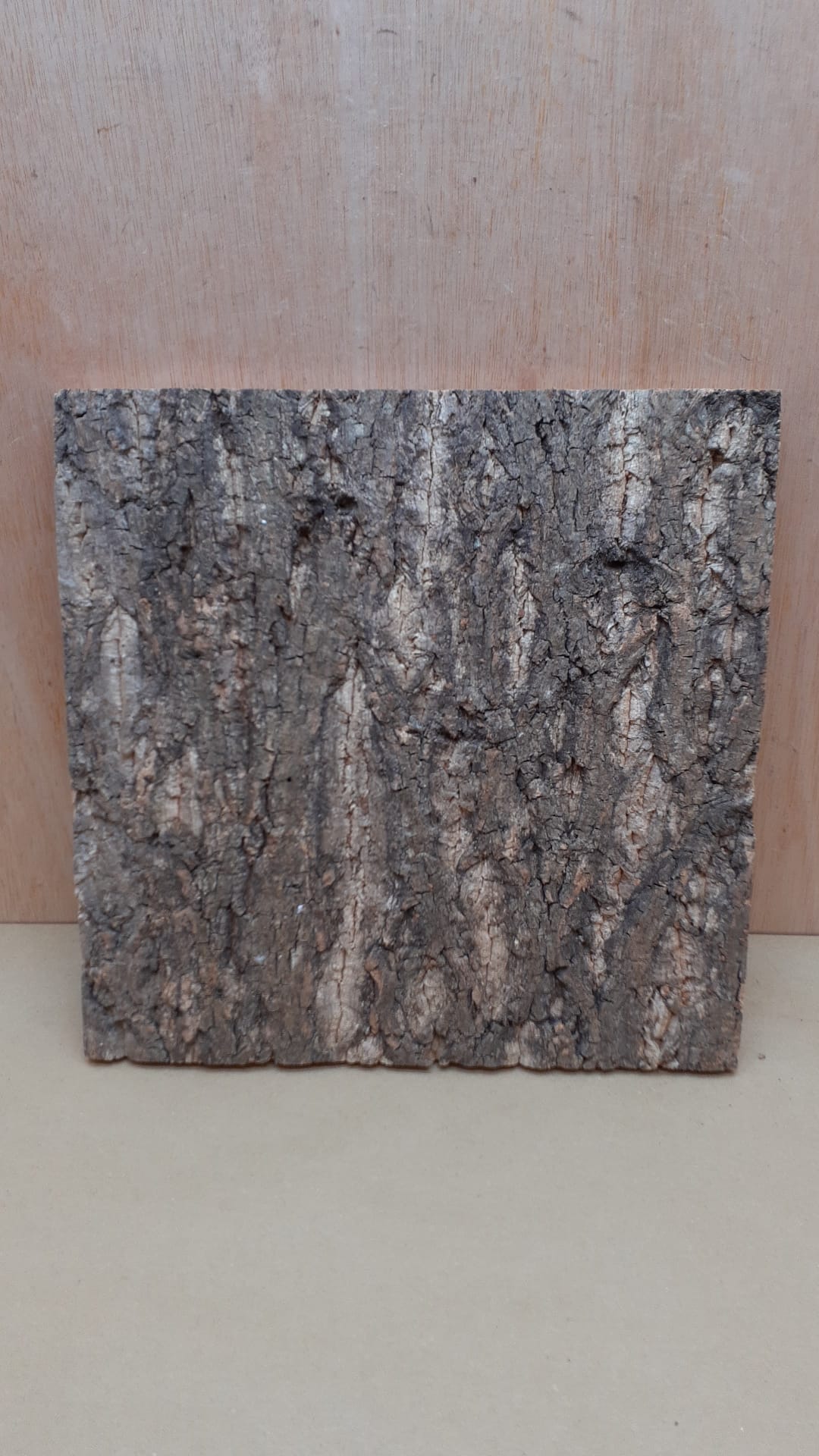 Cork Bark Background Panel 30x30cm - 14