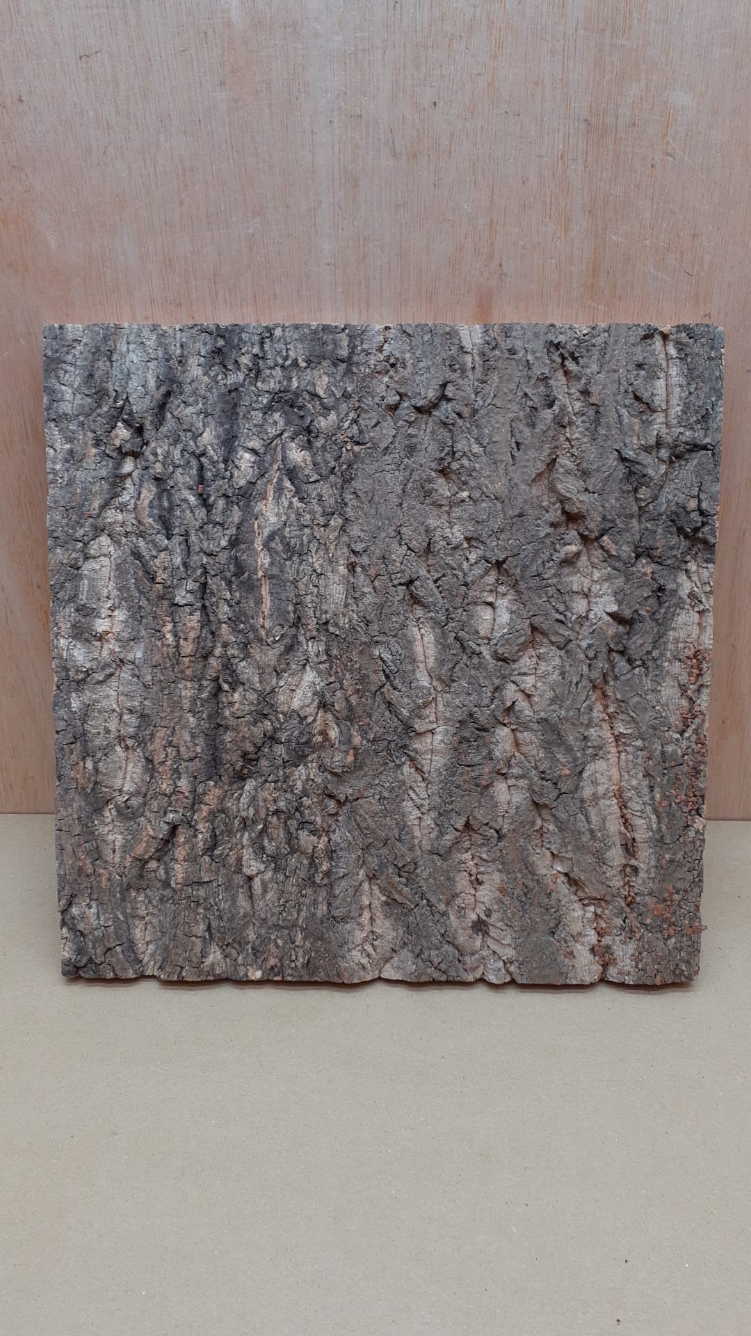 Cork Bark Background Panel 30x30cm - 15