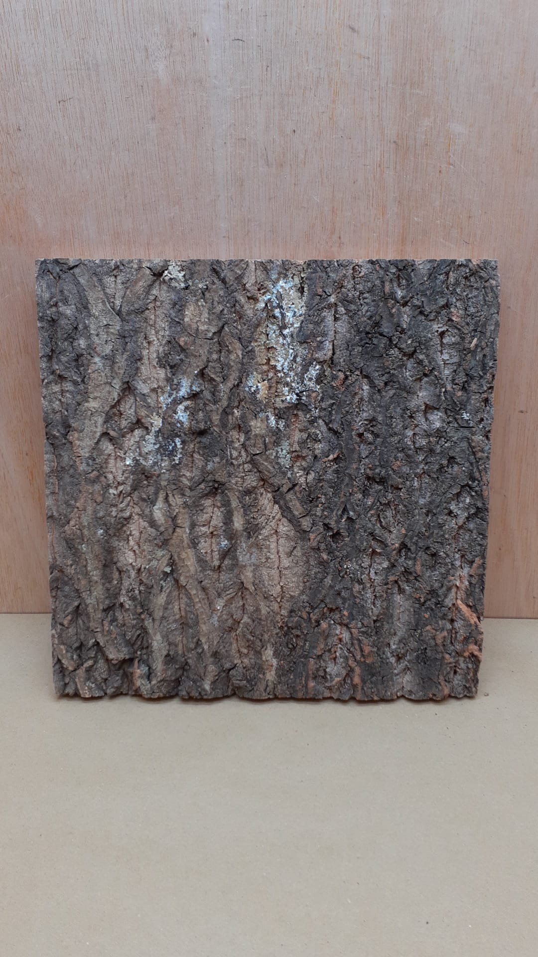 Cork Bark Background Panel 30x30cm - 19