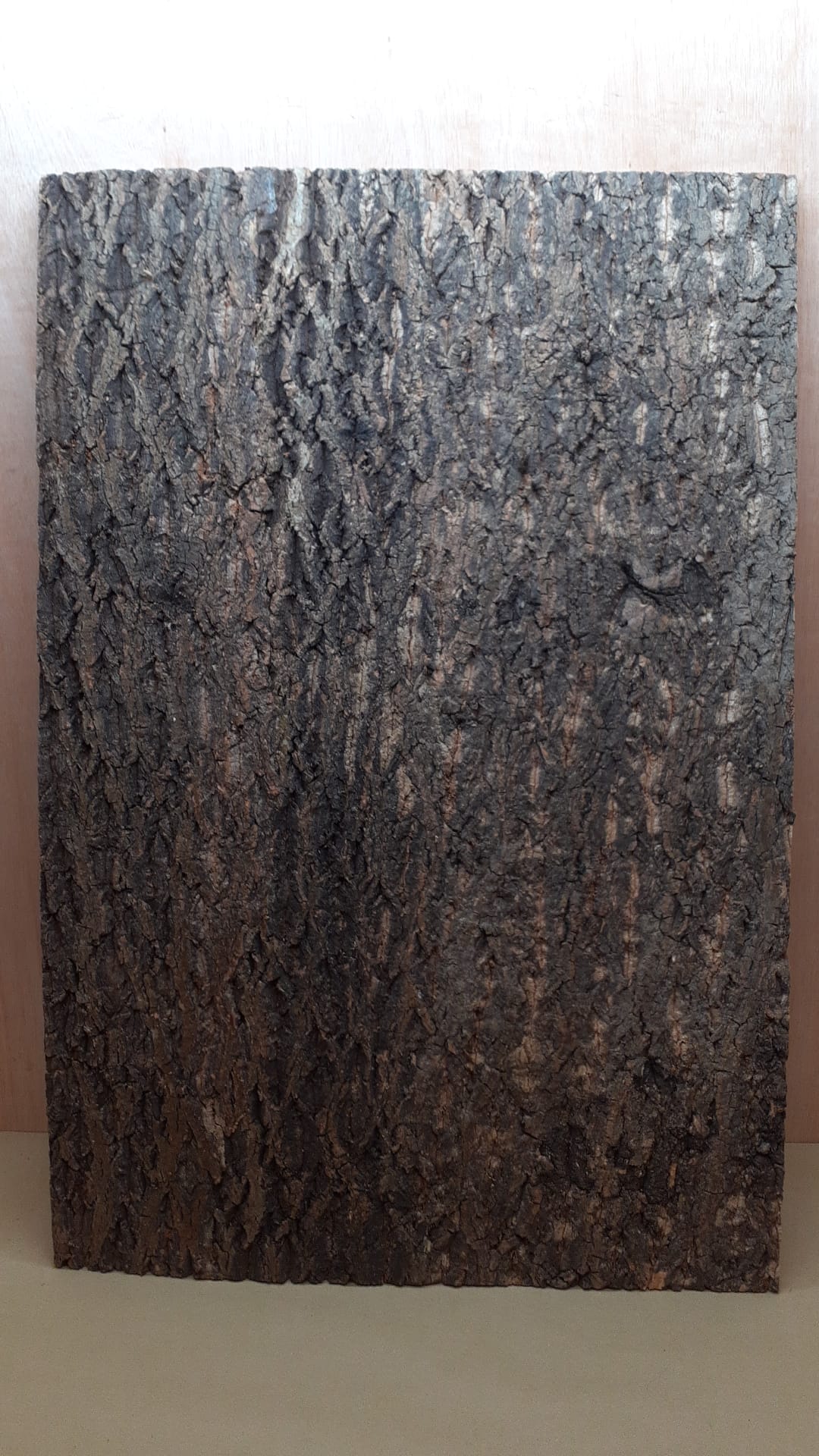 Cork Bark Background Panel 90x60cm - 13