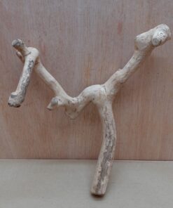 Java Wood - Double Stem - Small 11