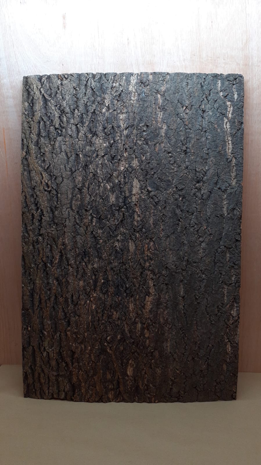 Cork Bark Background Panel 90x60cm - 14