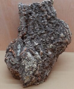 Large Cork Tube - Upto 40cm - 14