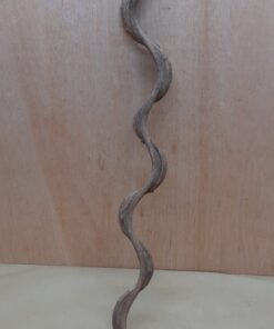 Monkey Ladder Liana - Short - 11