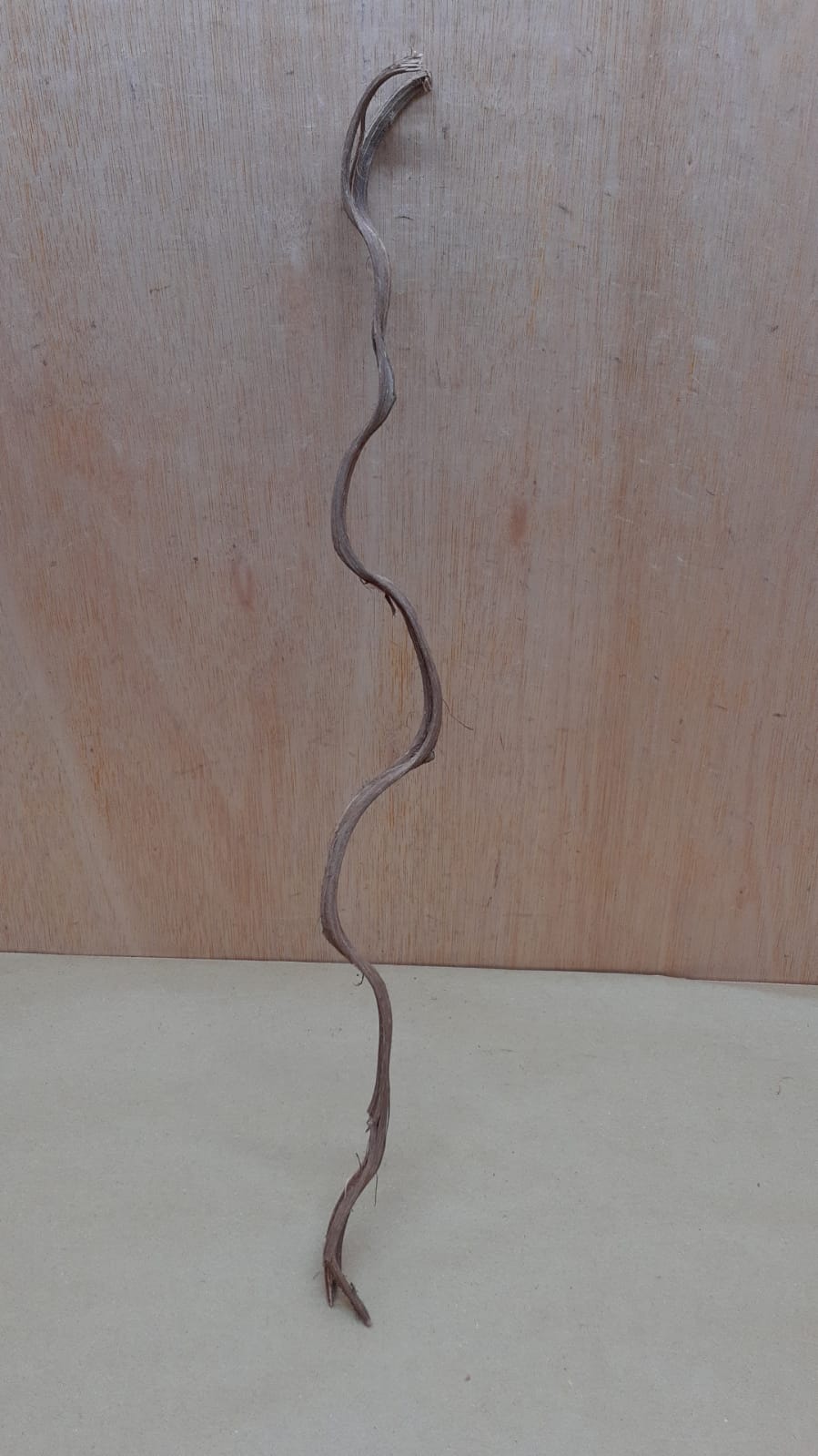 Monkey Ladder Liana - Short - 12