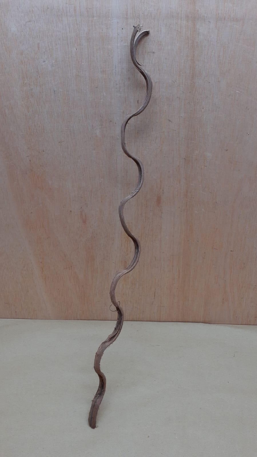 Monkey Ladder Liana - Short - 14