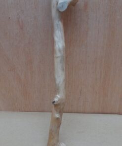 Java Wood - Single Stem - Small 15
