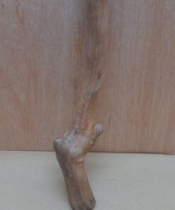 Java Wood - Single Stem - Small 16