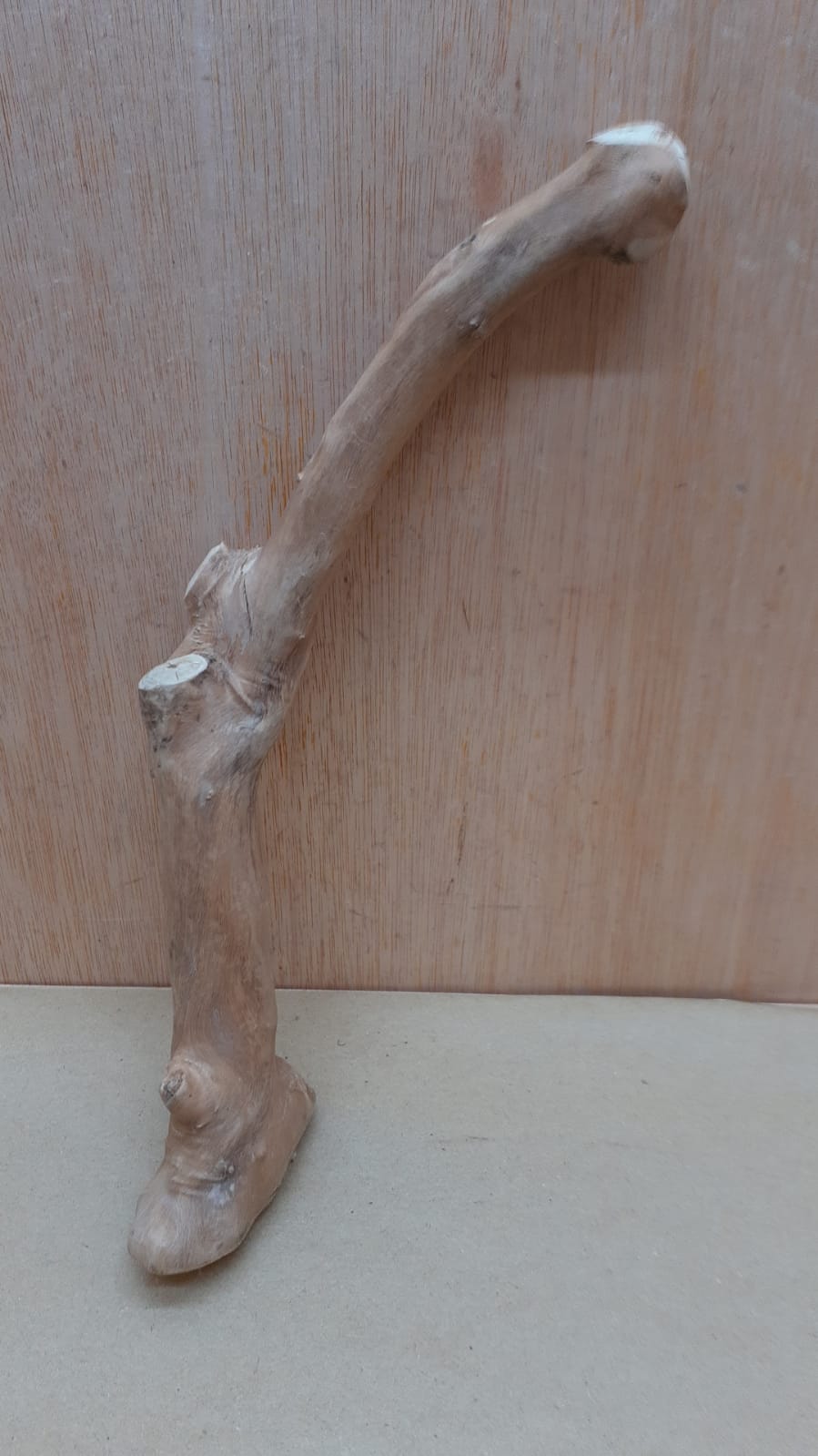 Java Wood - Single Stem - Small 17
