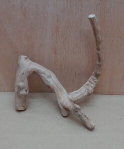 Java Wood - Double Stem - Small 13