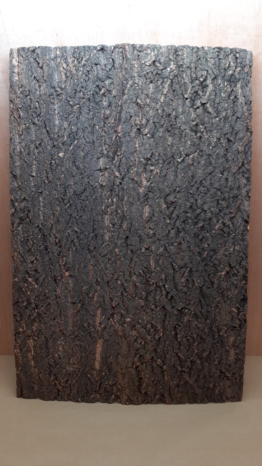 Cork Bark Background Panel 90x60cm - 12