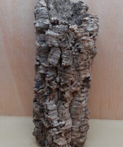 Large Cork Tube - 40-60cm - 11