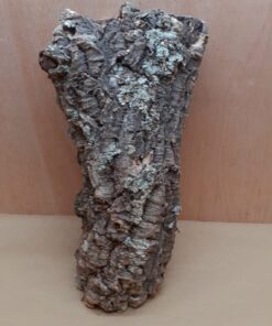 Large Cork Tube - 40-60cm - 13