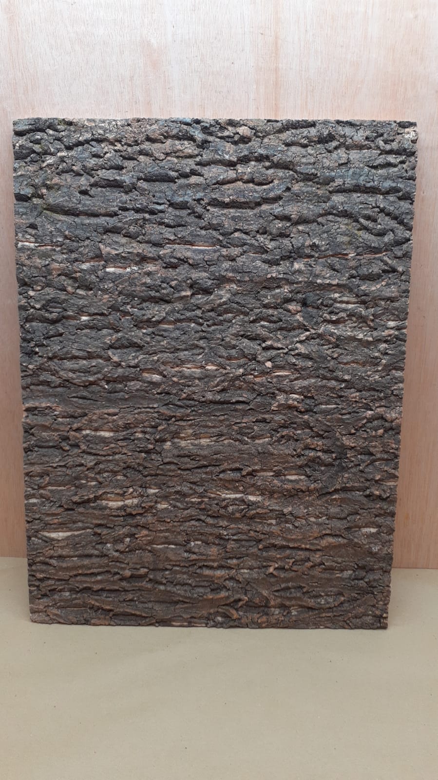 Cork Bark Background Panel 45x60cm - 11