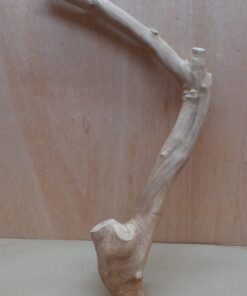 Java Wood - Single Stem - XL 11