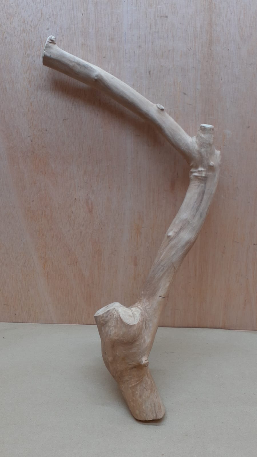 Java Wood - Single Stem - XL 11