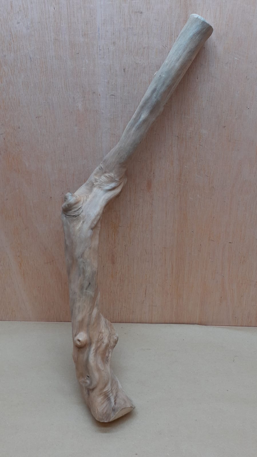 Java Wood - Single Stem - XL 12