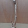 Java Wood - Single Stem - XL 13