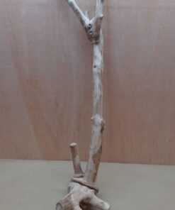 Java Wood - Single Stem - XL 13