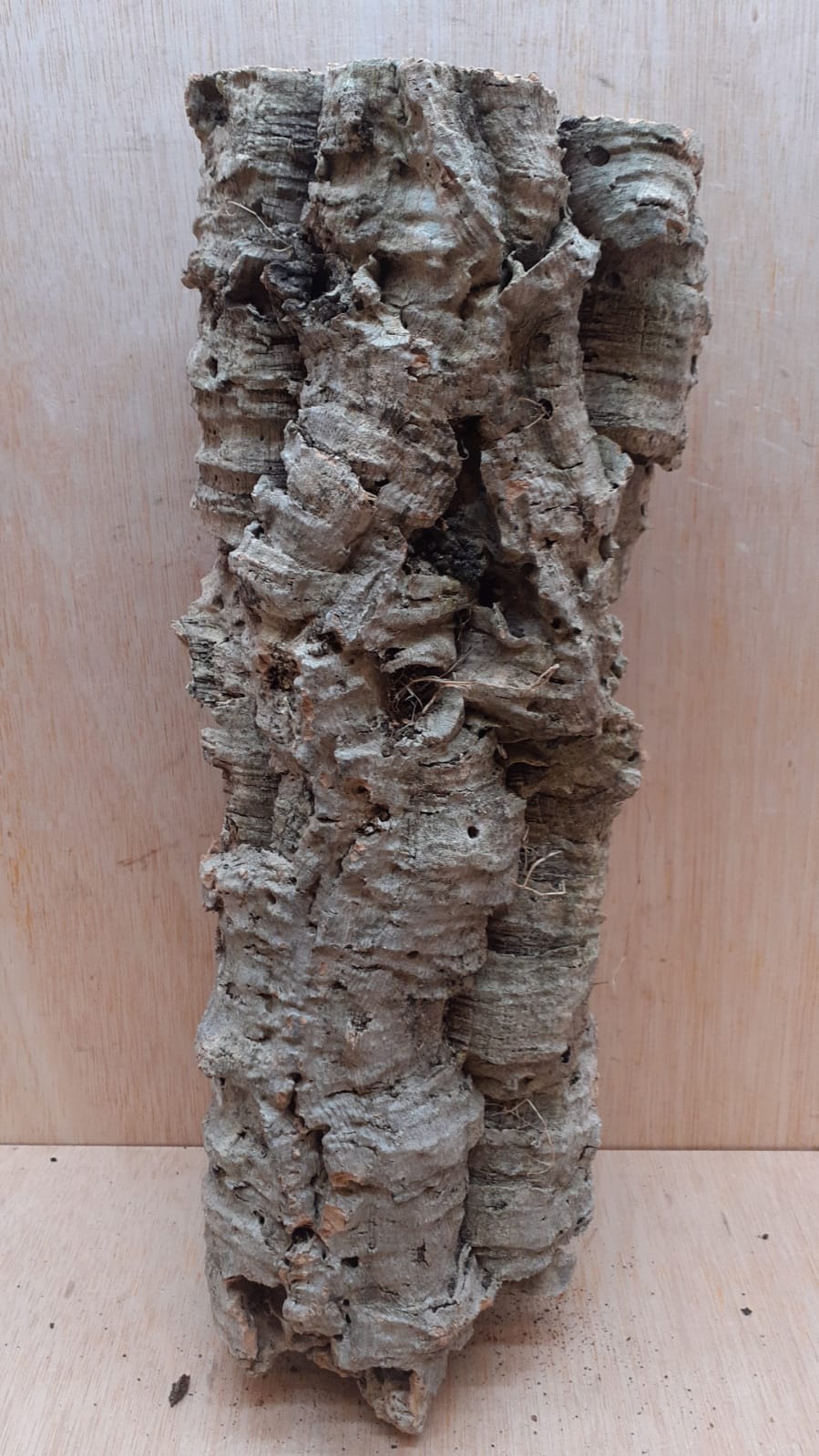 Large Cork Tube - Upto 40cm - 30
