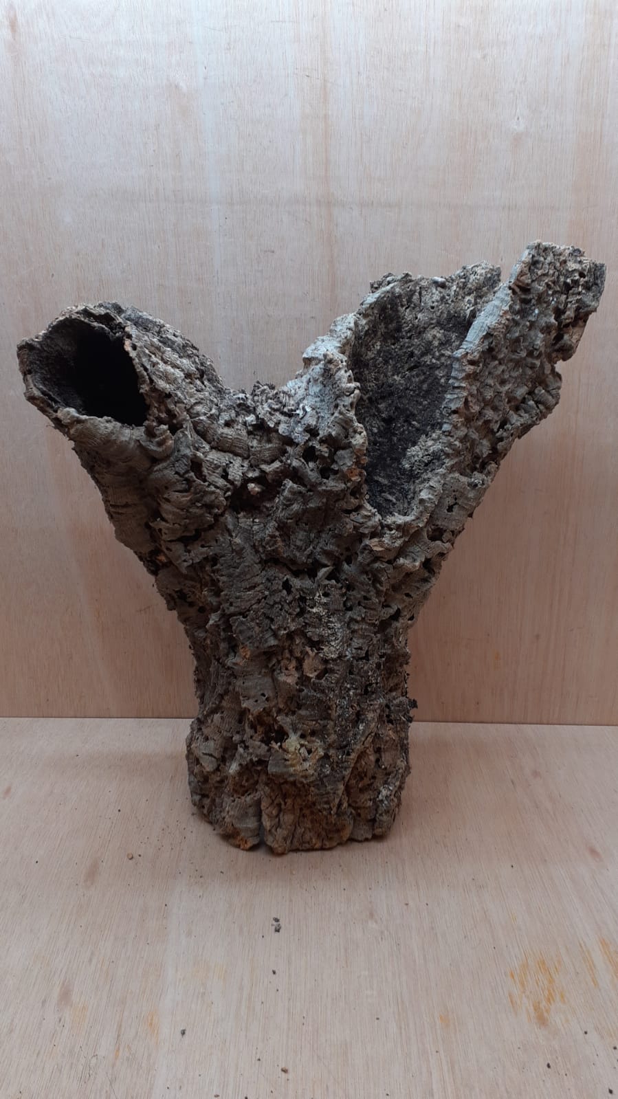 Large Cork Tube - 40-60cm - 20