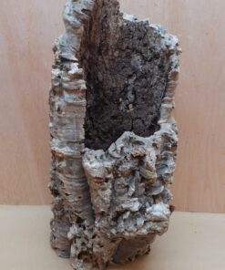 Large Cork Tube - 40-60cm - 16