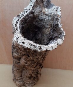 Large Cork Tube - 40-60cm - 17