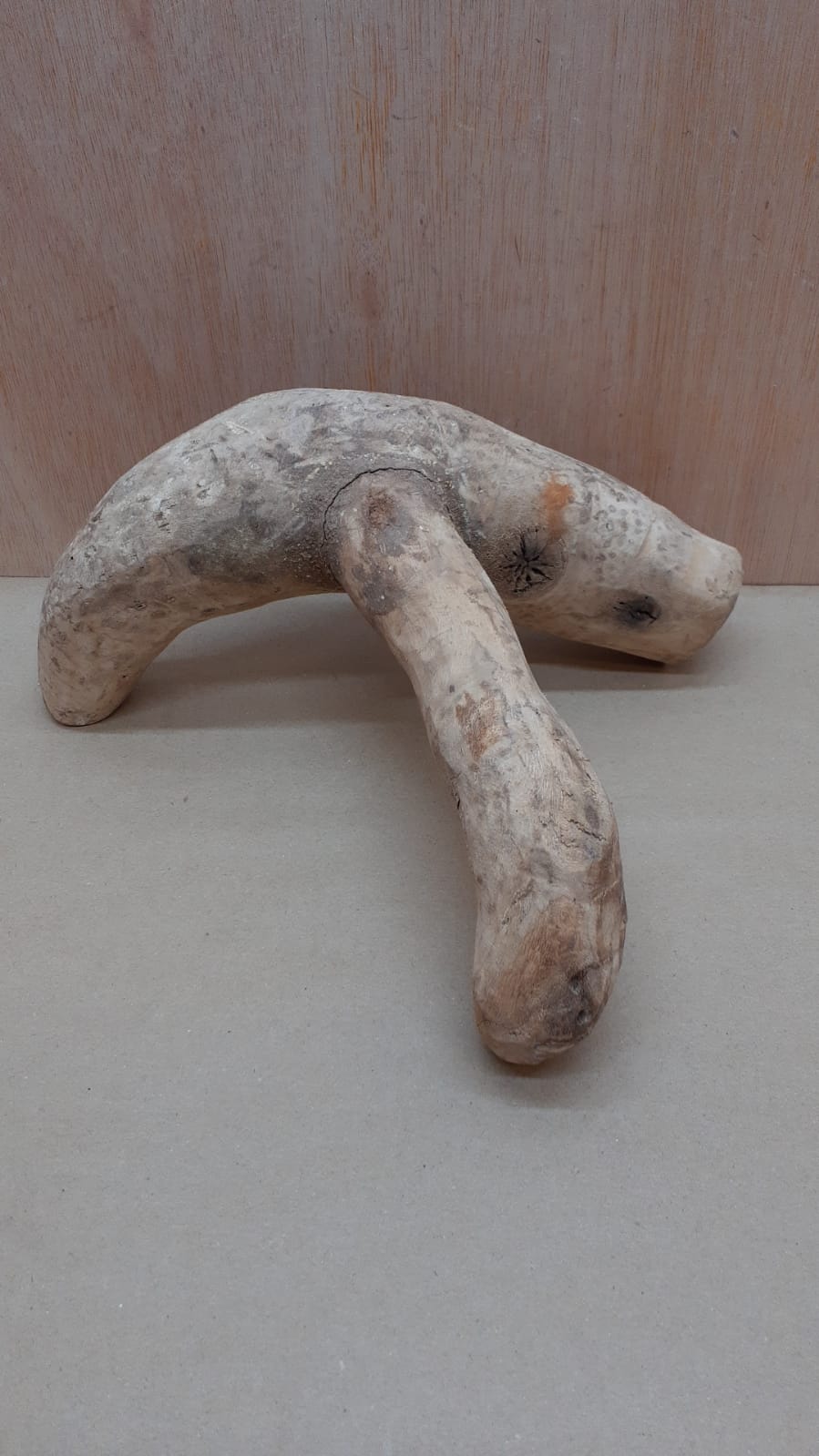 Bamboo Root - Small - 2
