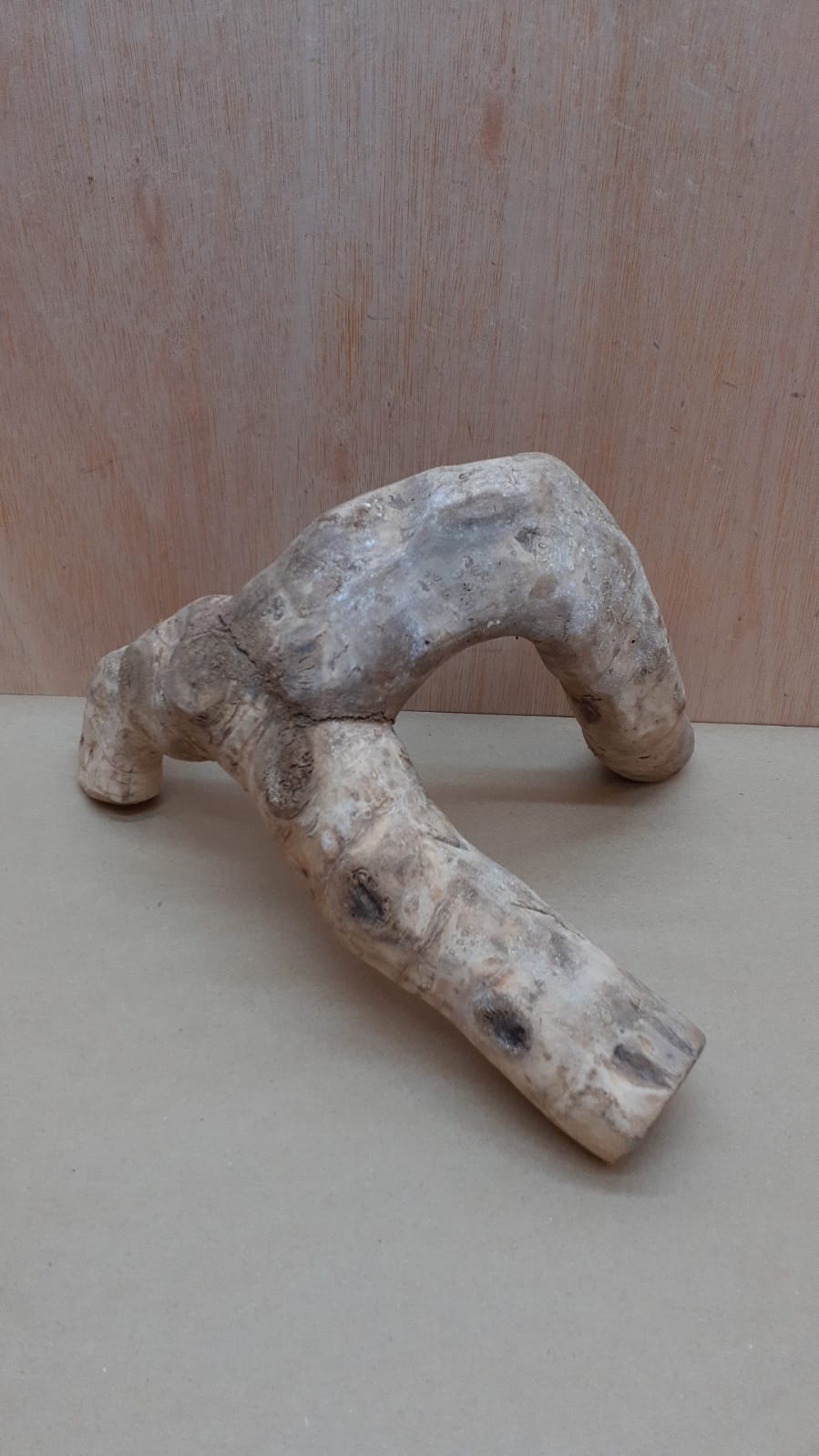 Bamboo Root - Small - 3