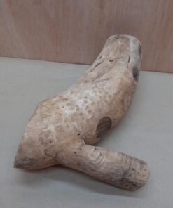 Bamboo Root - Small - 4