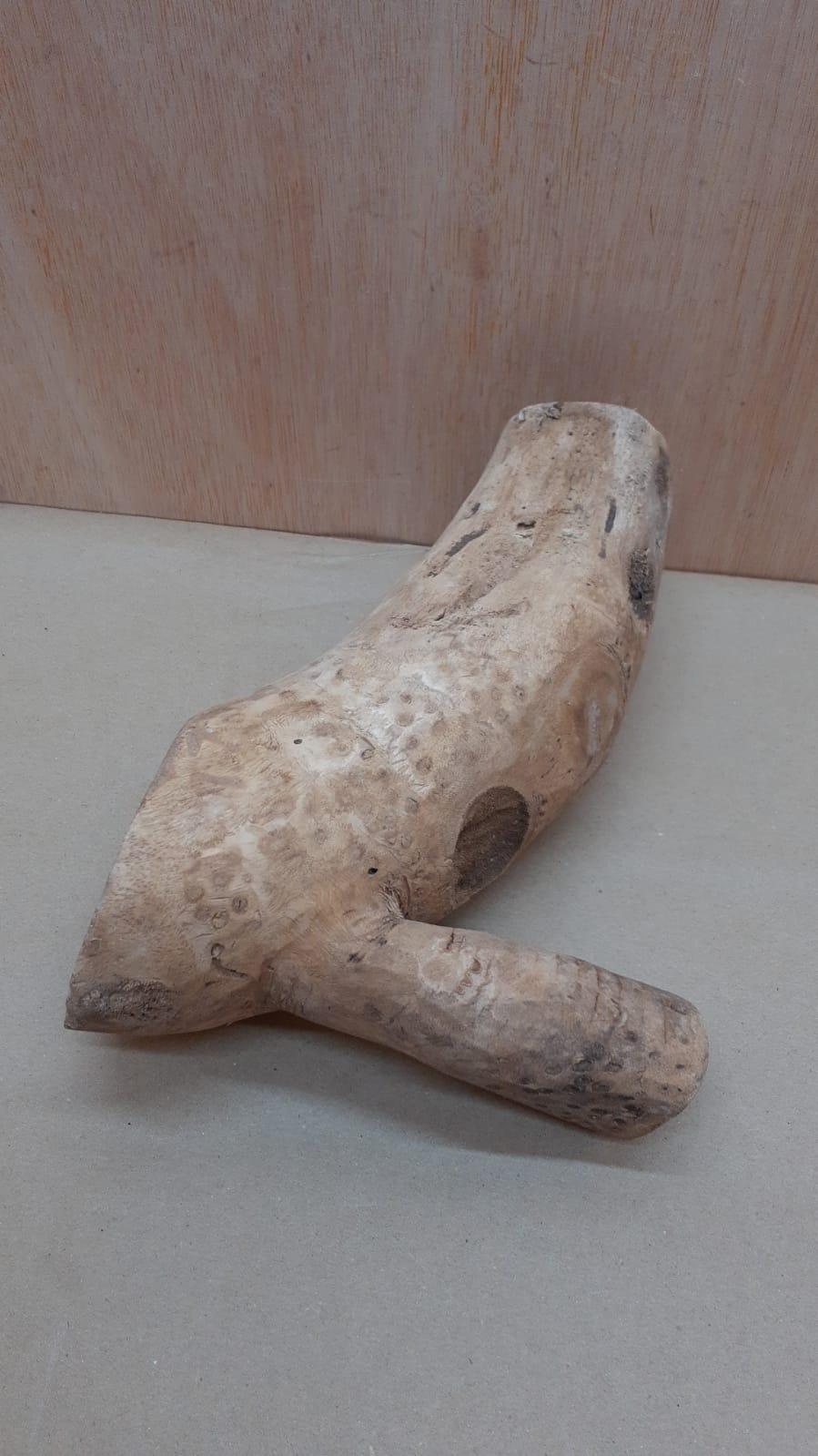 Bamboo Root - Small - 4