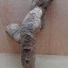 Bamboo Root - Large - 1