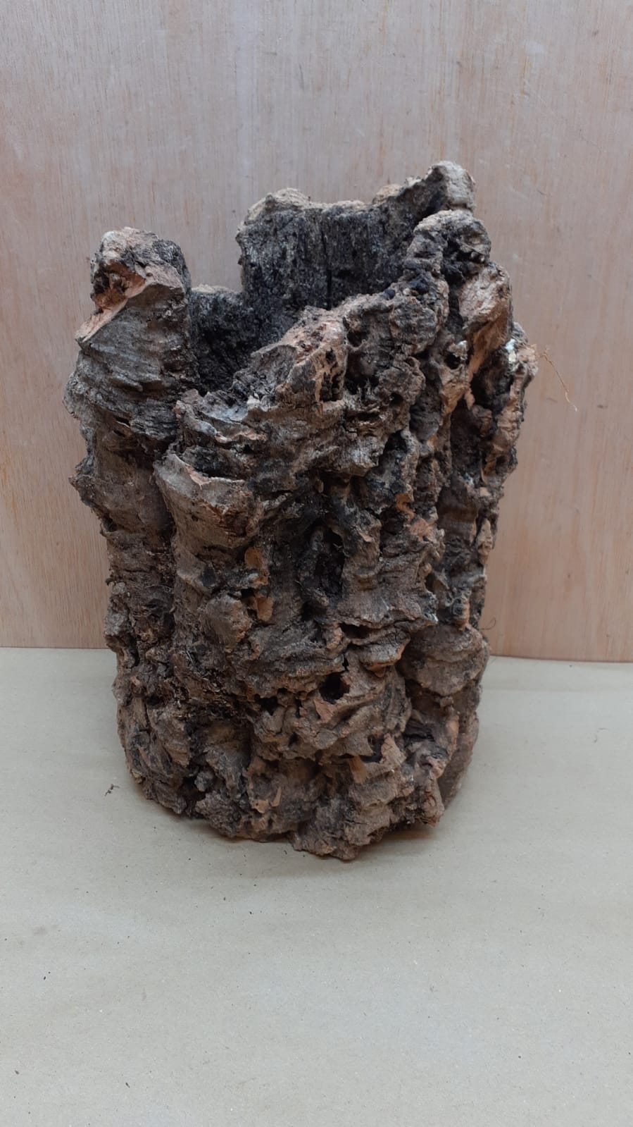 Large Cork Tube - Upto 40cm - 21
