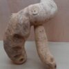 Bamboo Root - Large - 5
